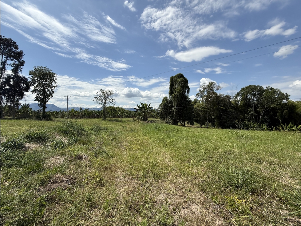 Se Venden Lotes Campestres Parcelacion Panaca Quimbaya — foto 4