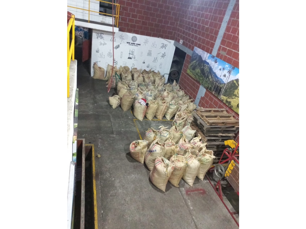 Se Vende Finca Cafetera En Caicedonia 9160138 - 4