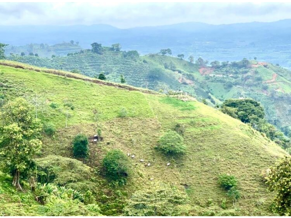 Se Vende Finca En Pasto Cordoba Quindio Vista Panoramica 9358247 - 4