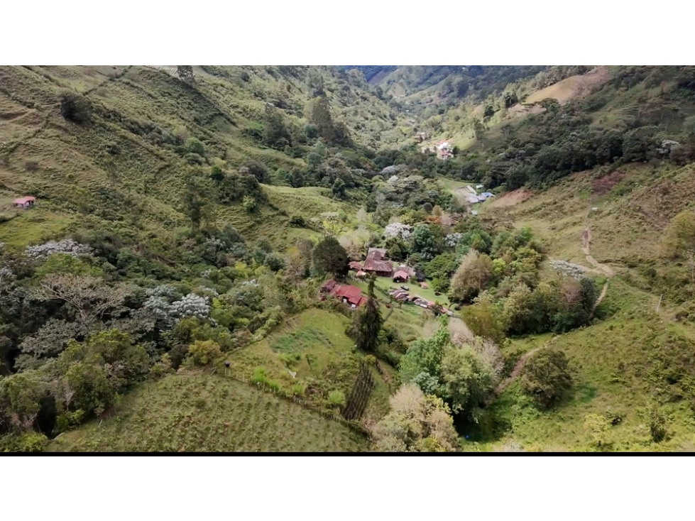 Se Vende Finca Turismo Ecologico Cordoba Quindio 9397225 — foto 4