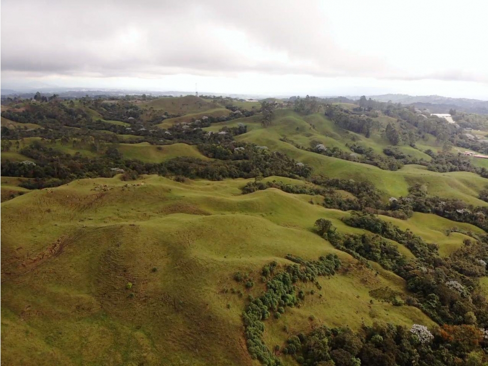 Se vende finca 200 cuadras Filandia, vía principal Armenia - Pereira - 4