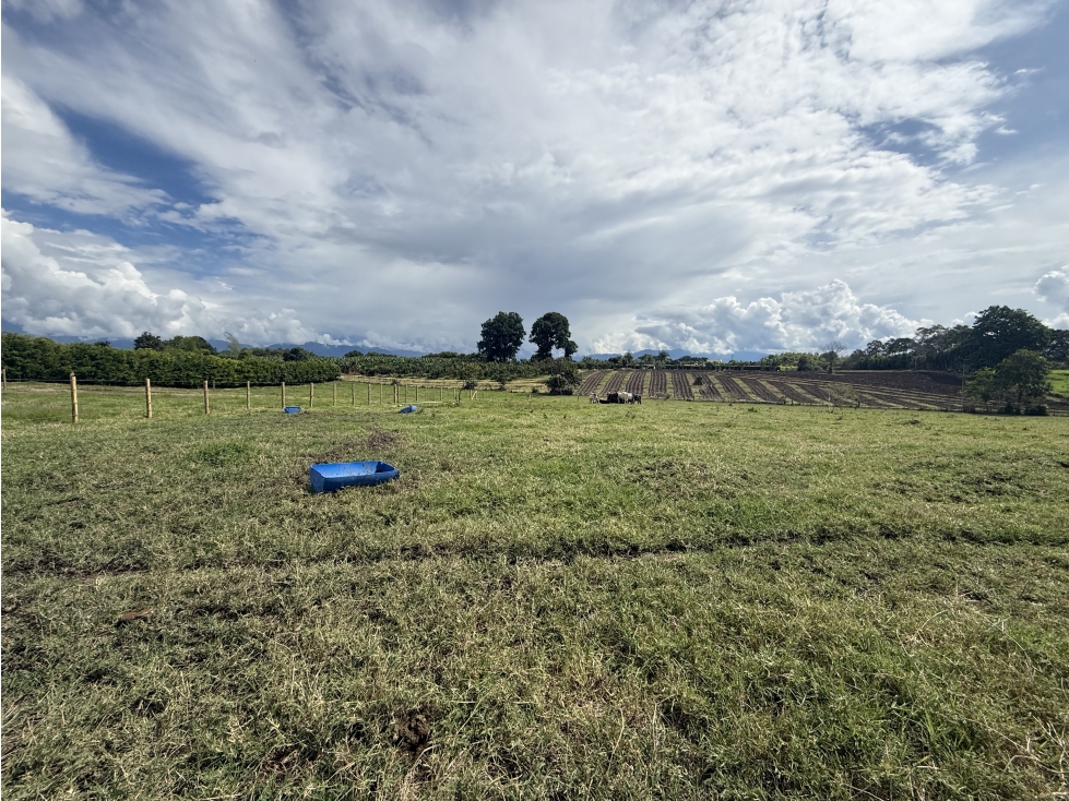 Se Vende Lote Parcelacion Campestre Pueblo Tapao — foto 4