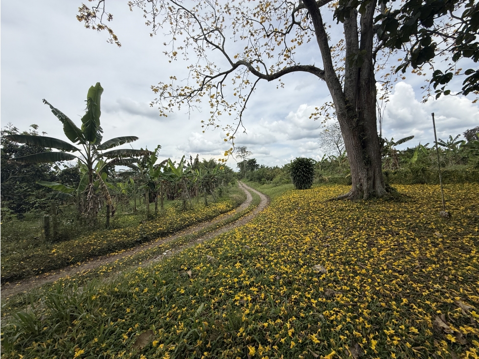 Se Vende Lote Rural Cerca Al Club Campestre De Armenia