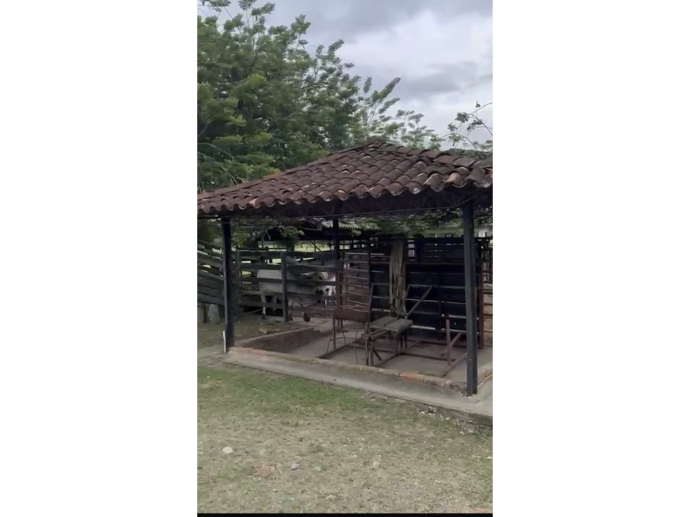 Se Vende Finca Ganadera En Obando Valle Del Cauca - 4