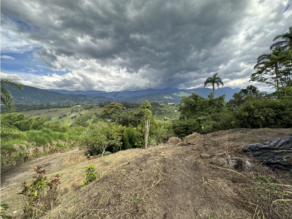 Se Vende Lote Urbano Avenida Centenario Norte Armenia — foto 5