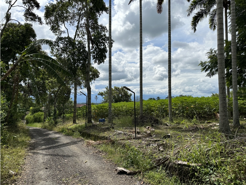 Se Vende Parcelacion De 6 Lotes En Pueblo Tapao Quindio — foto 5