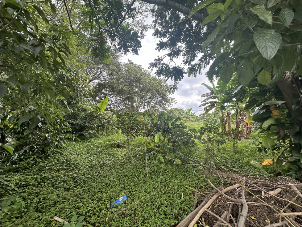 Lote Sub Urbano En Venta Corredor Del Caimo Al Eden Armenia — foto 5