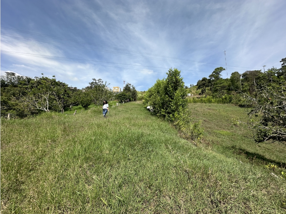 Se Vende Lote Para Desarrollo de Casas Campestres Pueblo Tapao — foto 5