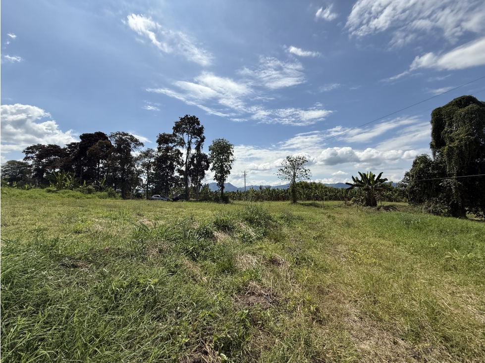 Se Venden Lotes Campestres Parcelacion Panaca Quimbaya — foto 5
