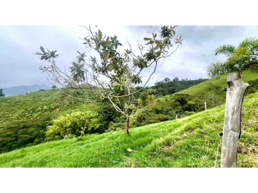Se Vende Finca En Pasto Cordoba Quindio Vista Panoramica 9358247 - 5