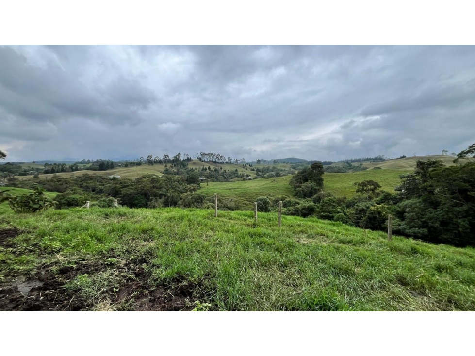 Se vende finca 200 cuadras Filandia, vía principal Armenia - Pereira - 5