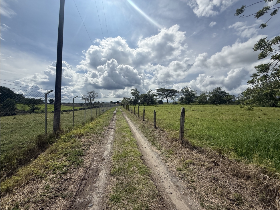 Se Vende Lote Parcelacion Campestre Pueblo Tapao — foto 5