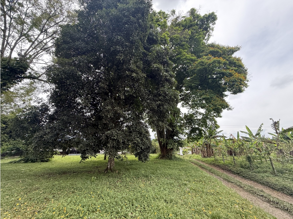 Se Vende Lote Rural Cerca Al Club Campestre De Armenia — foto 3