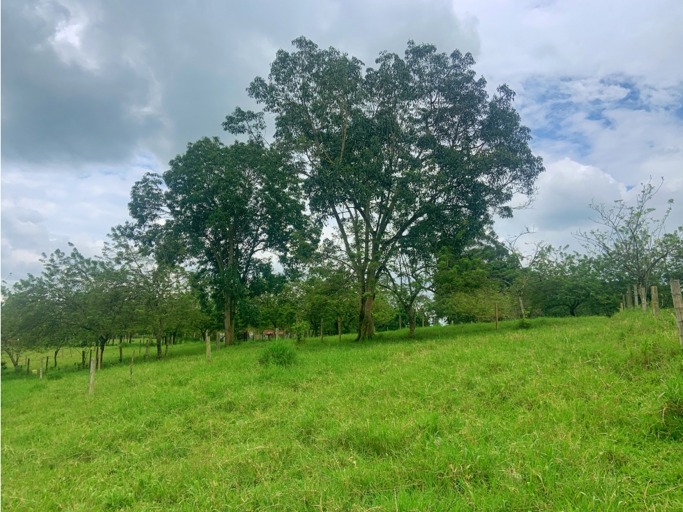 Se Vende Lote Sub-Urbano Armenia Quindio El Caimo — foto 3