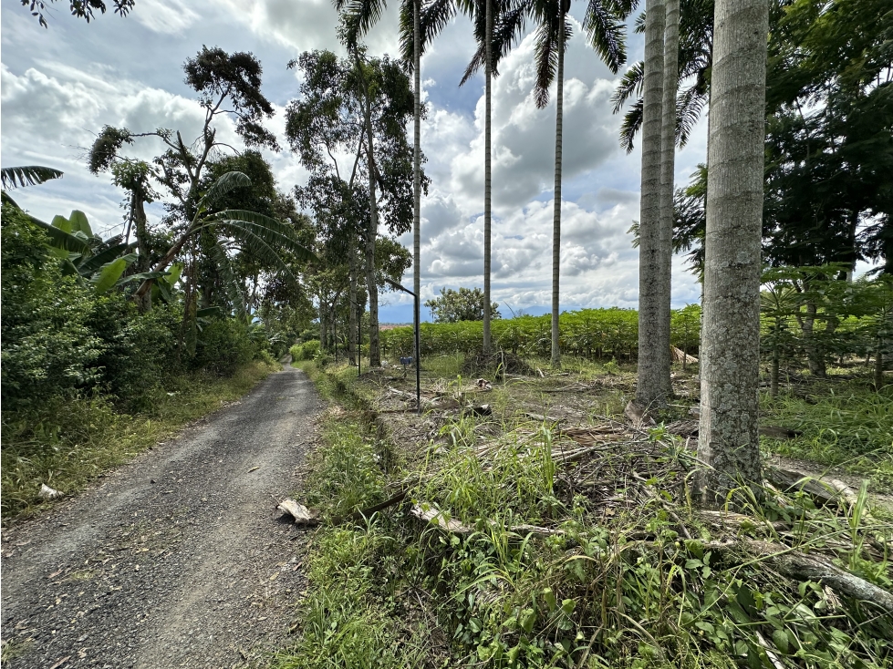Se Vende Parcelacion De 6 Lotes En Pueblo Tapao Quindio — foto 6