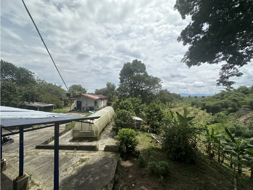 Lote Sub Urbano En Venta Corredor Del Caimo Al Eden Armenia — foto 6