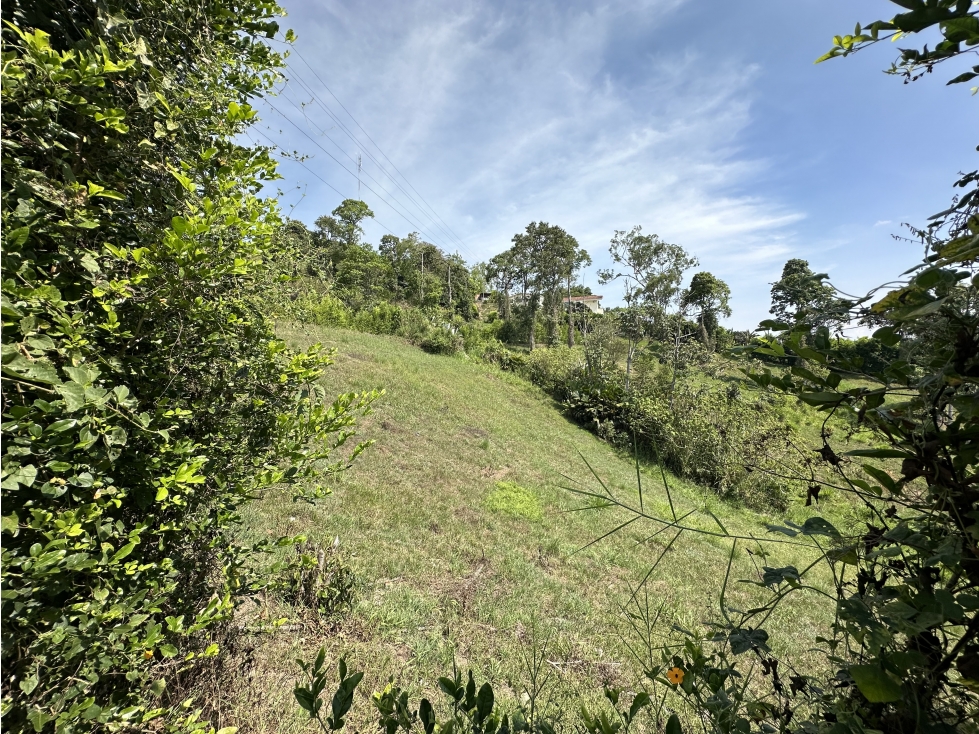 Se Vende Lote Para Desarrollo de Casas Campestres Pueblo Tapao — foto 6