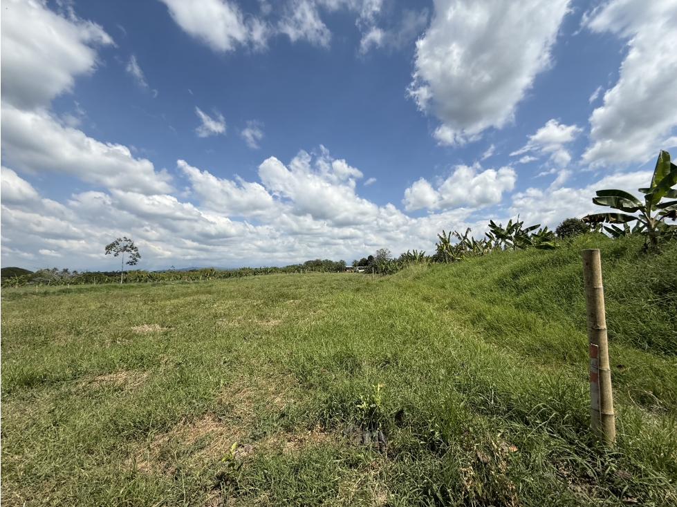 Se Venden Lotes Campestres Parcelacion Panaca Quimbaya — foto 6