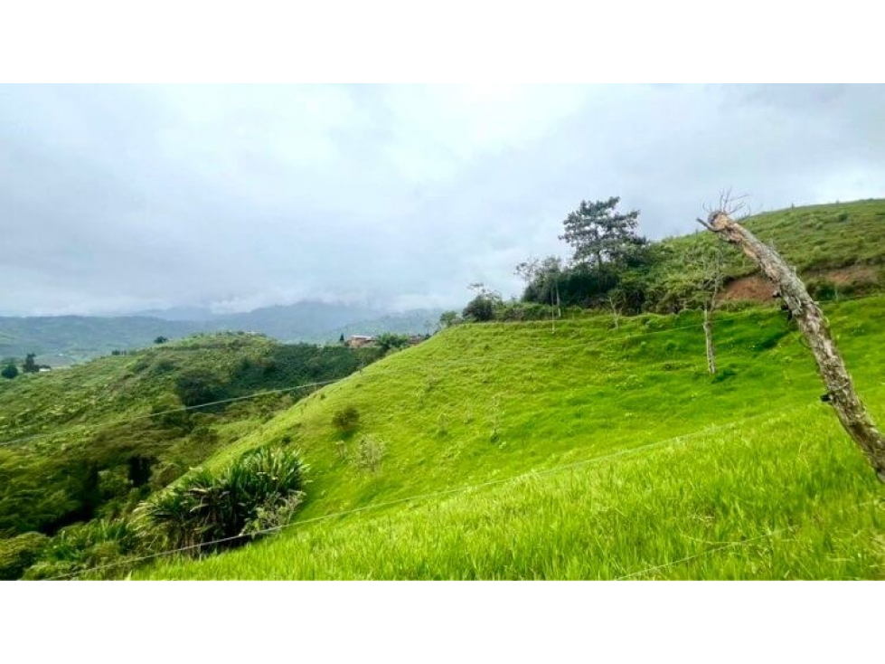 Se Vende Finca En Pasto Cordoba Quindio Vista Panoramica 9358247 - 6