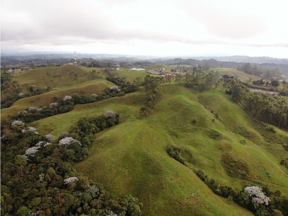 Se vende finca 200 cuadras Filandia, vía principal Armenia - Pereira - 6