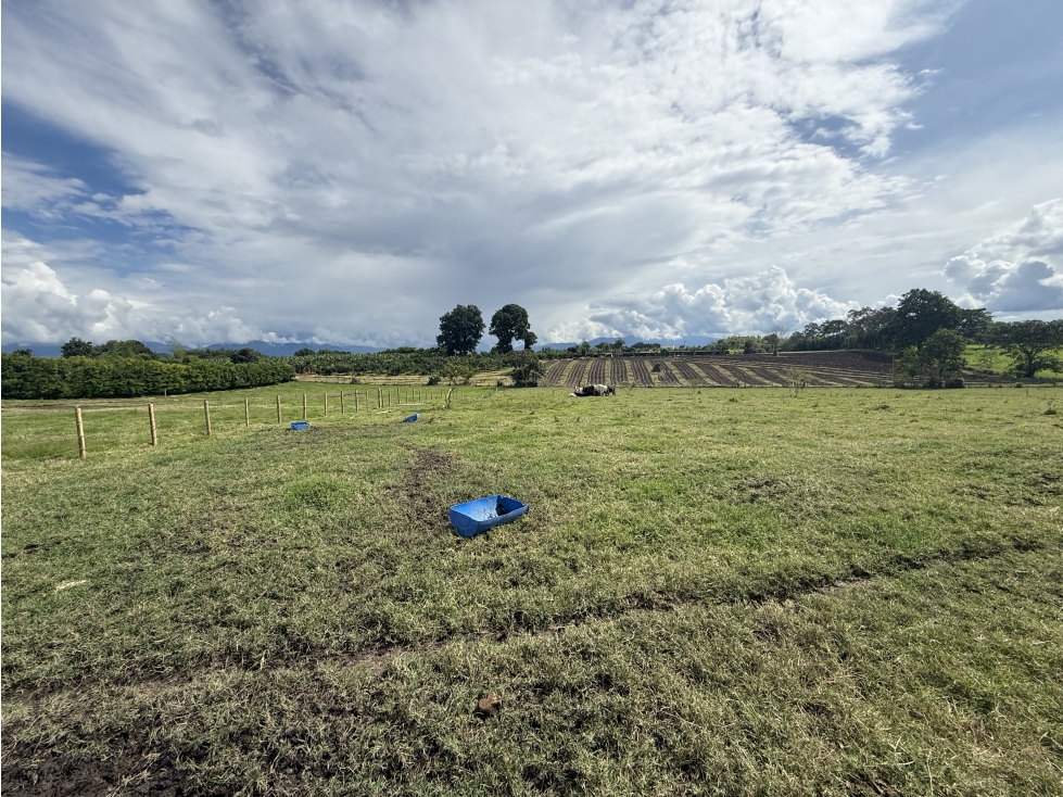 Se Vende Lote Parcelacion Campestre Pueblo Tapao — foto 6