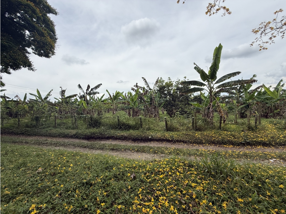 Se Vende Lote Rural Cerca Al Club Campestre De Armenia — foto 4