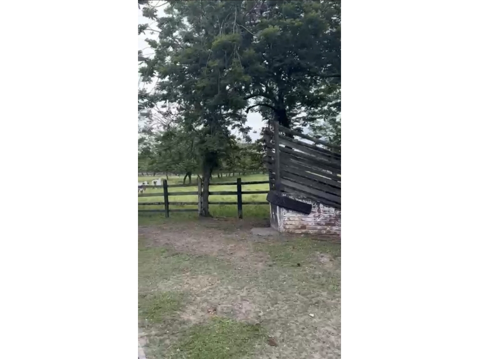 Se Vende Finca Ganadera En Obando Valle Del Cauca - 6