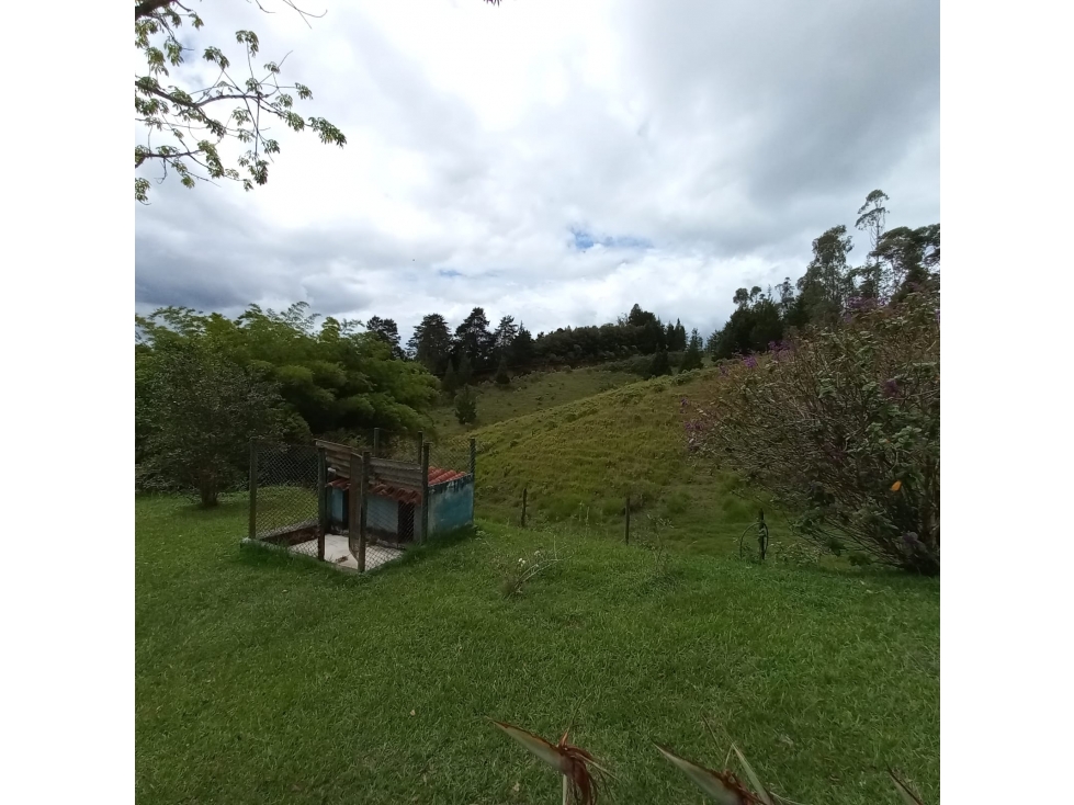 Finca en Venta en Rionegro - Rural — foto 6