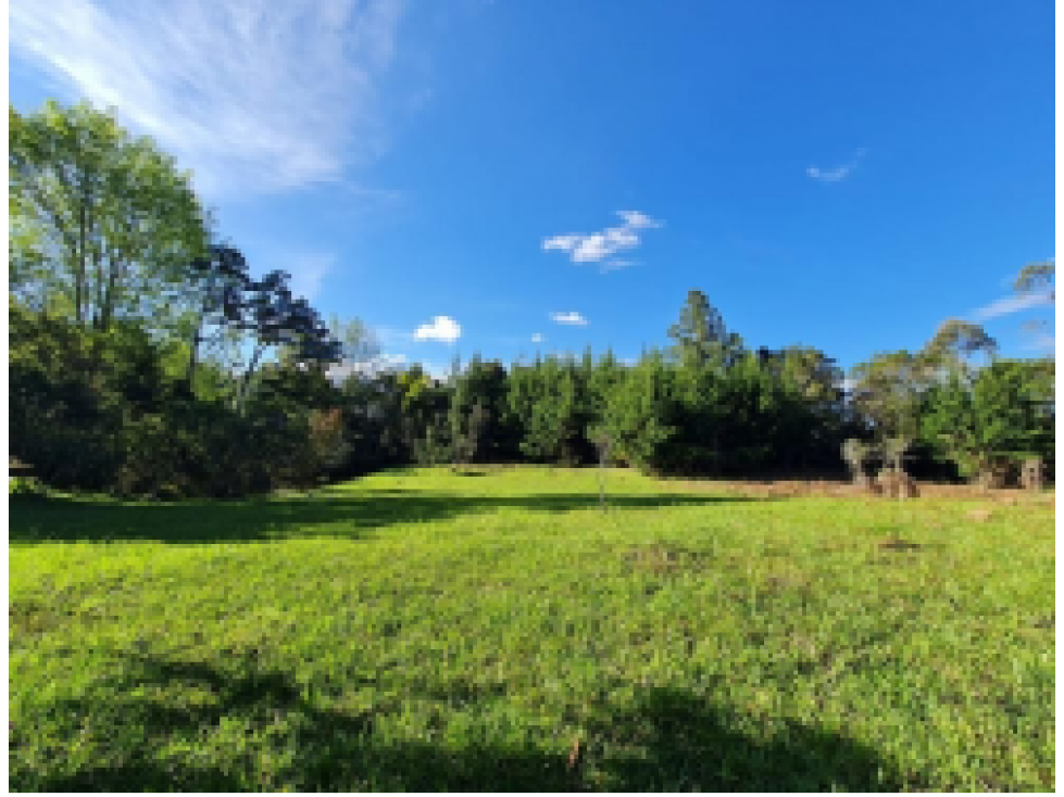 Lote en Venta en Rionegro - Rural