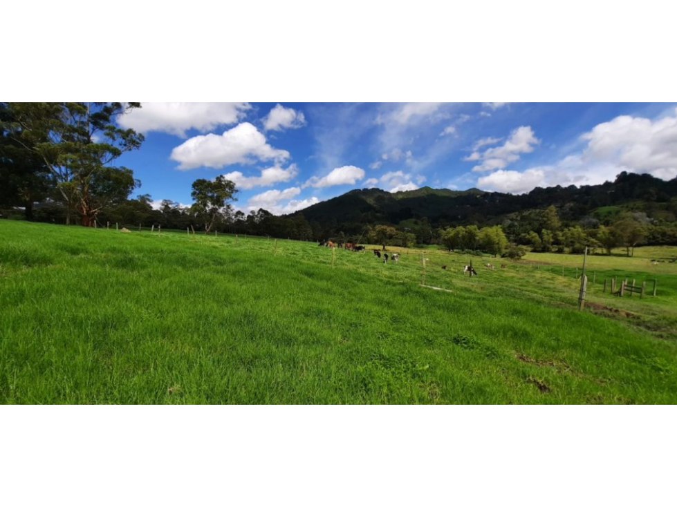 Lote en Venta en Rionegro - El Tablazo