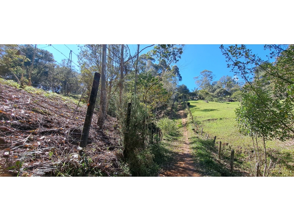 Lote independiente para venta en Rionegro - Alto del Perro — foto 3