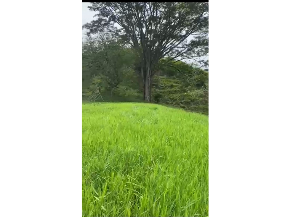 Lote en parcelación para Venta en Amaga- Rural - 1