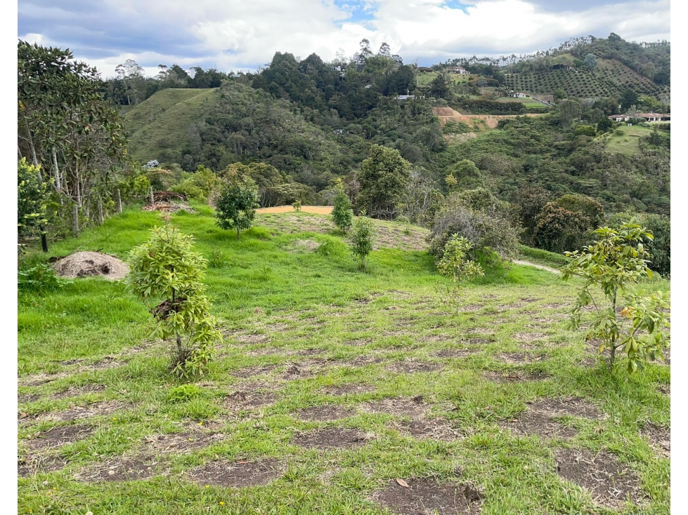 Lote para venta en Rionegro - Higueron
