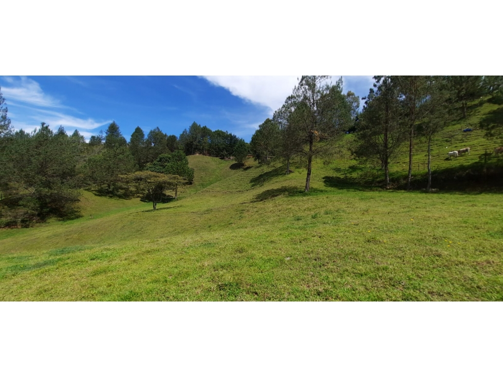 Finca en Venta en Rionegro - Santa Barbara — foto 2