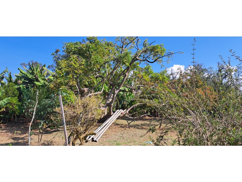 Lote en parcelación para Venta en Rionegro - Rural — foto 4