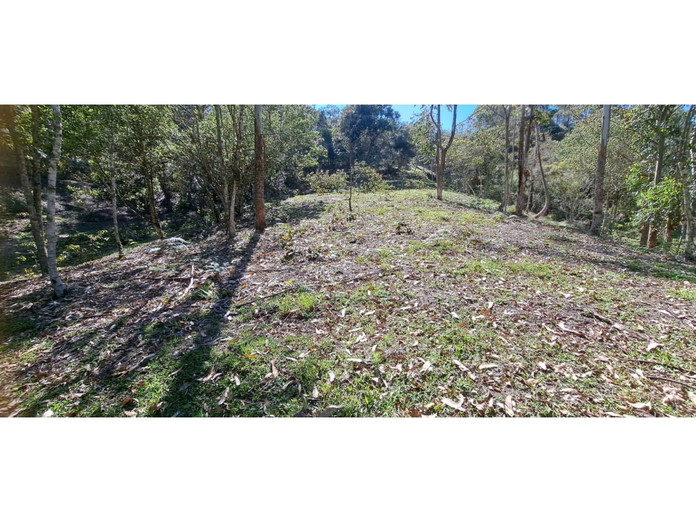 Lote independiente para venta en Rionegro - Alto del Perro — foto 2