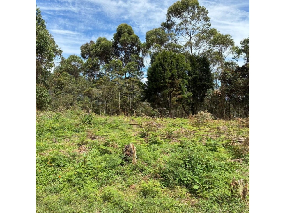 Lote independiente para venta en Rionegro — foto 2
