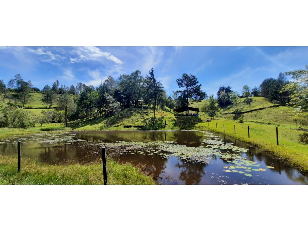 Finca en Venta en Rionegro - Santa Barbara — foto 3