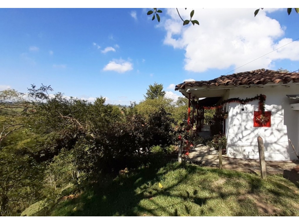 Finca en Venta en Rionegro - Vereda Los Pinos