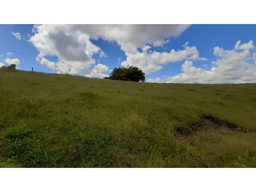 Lote en Venta en El Carmen de Viboral - Vía San Antonio - La Ceja — foto 3