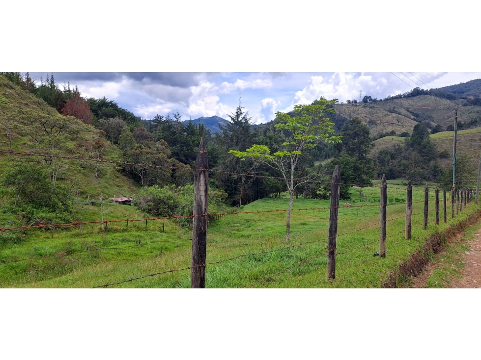 Lote en Venta en El Retiro - Rural — foto 4