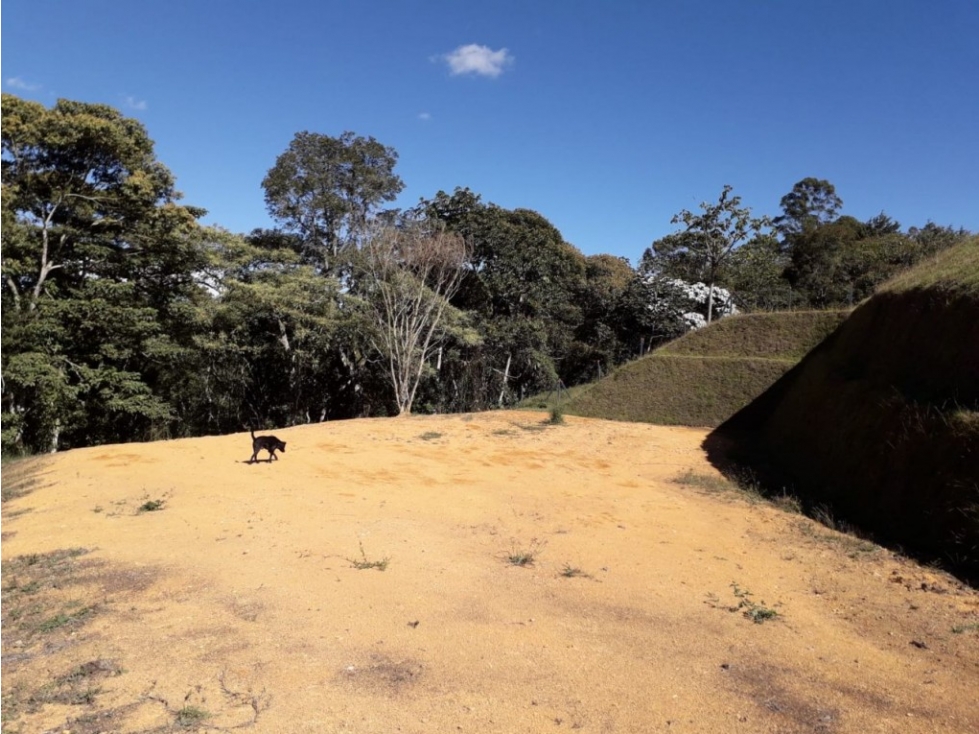 Lote en Venta en Rionegro - Varahonda