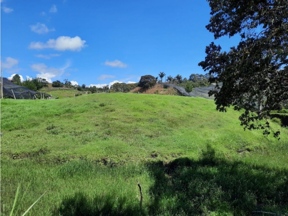Lote en Venta en La Ceja - San Nicolás