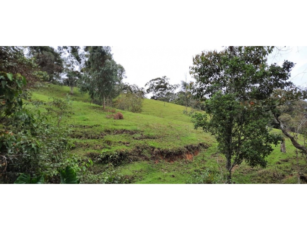 Lote en Venta en La Ceja - Rural