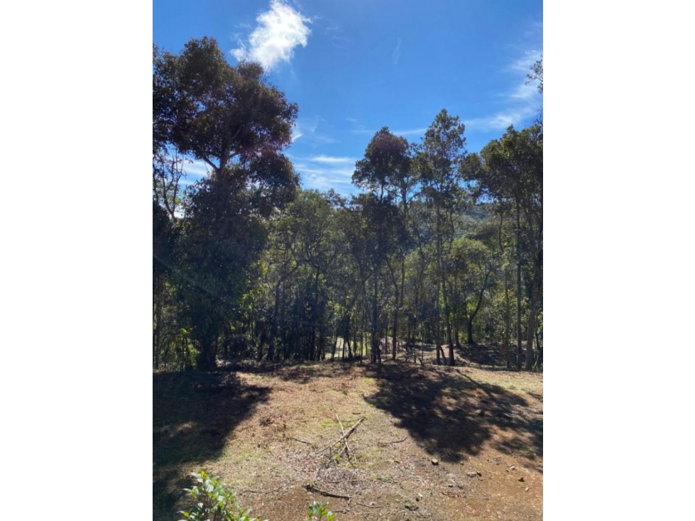 Lote en Venta en Guarne - La Honda — foto 2