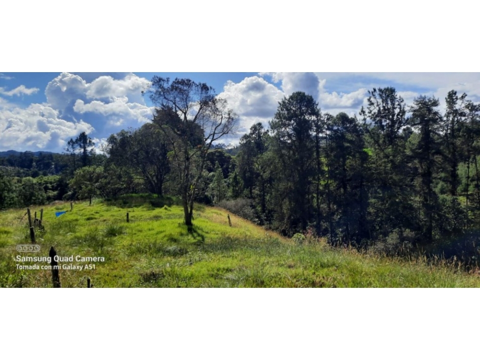 Finca en Venta en Envigado - Vereda Pantanillo — foto 3