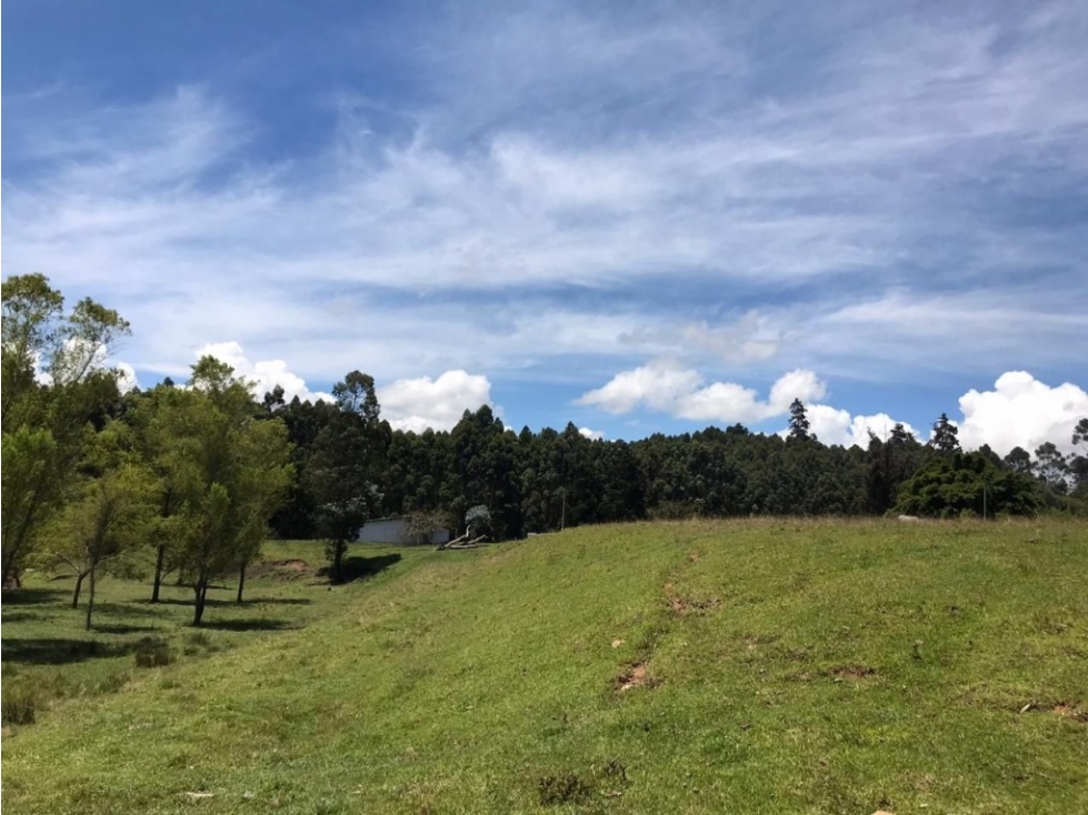 Lote industrial para Venta en Marinilla - El Tranvía — foto 2