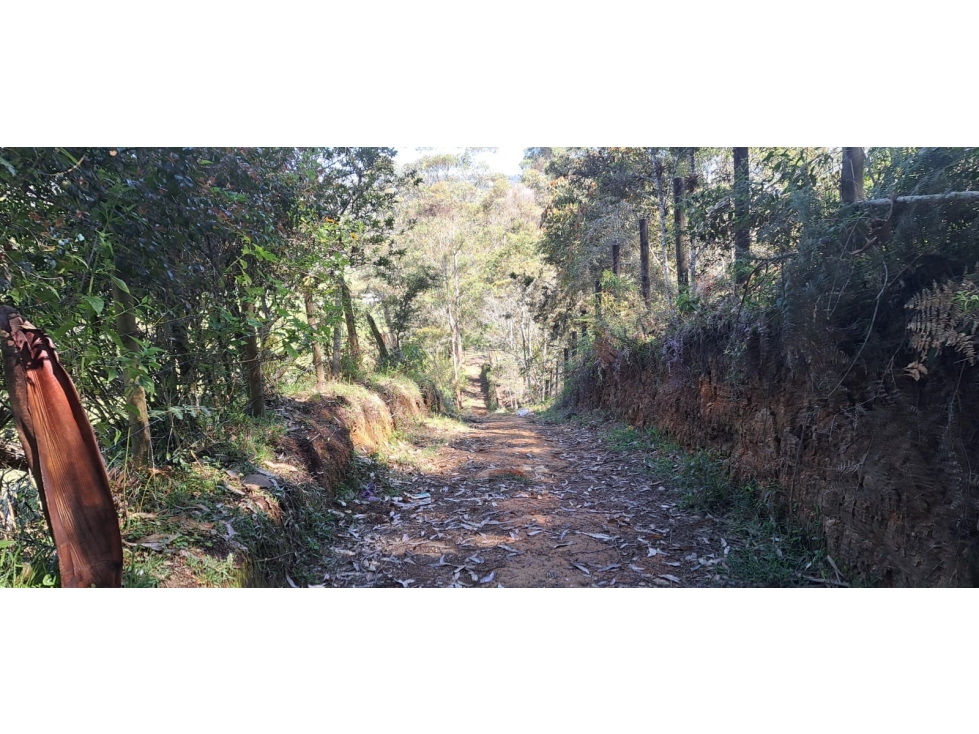 Lote independiente para venta en Rionegro - Alto del Perro — foto 4
