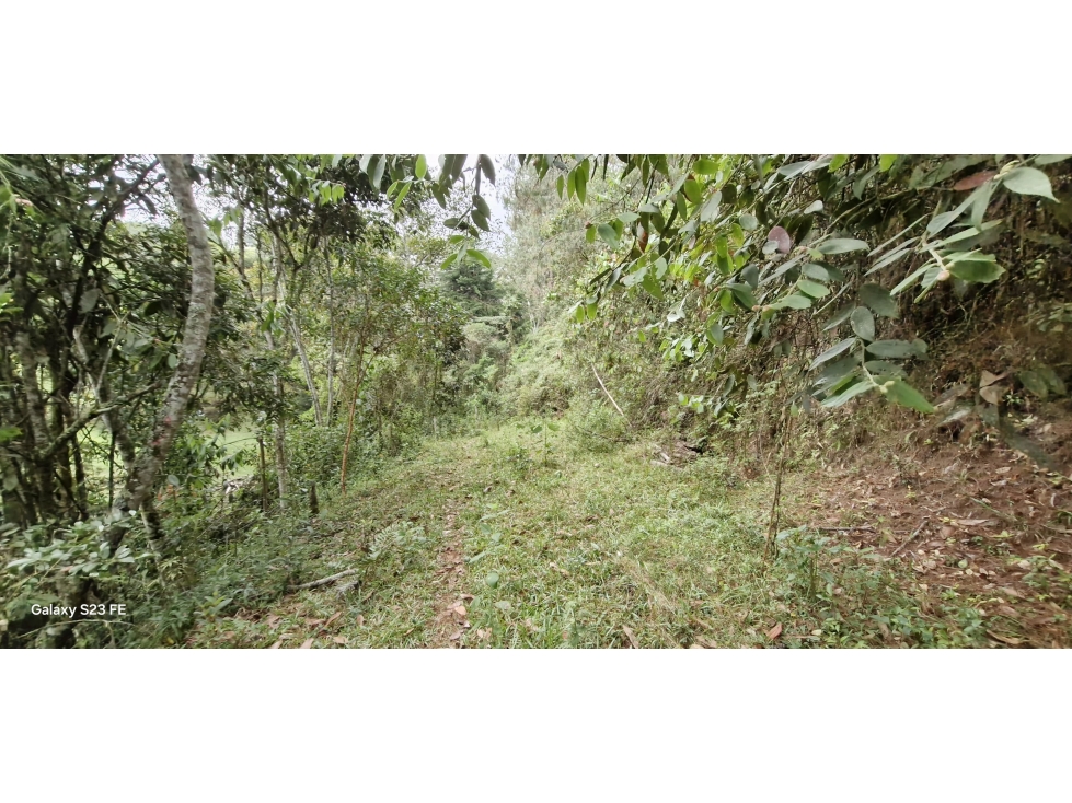 Lote para venta en Rionegro - La Convención — foto 2
