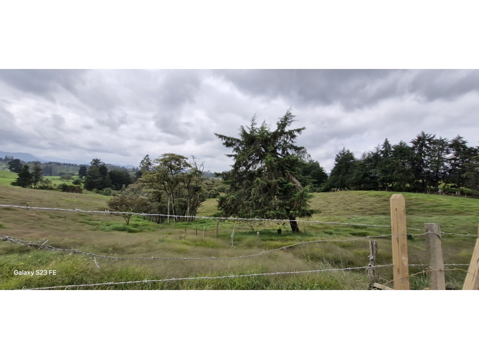 Lote para venta en Rionegro - Aeropuerto — foto 2